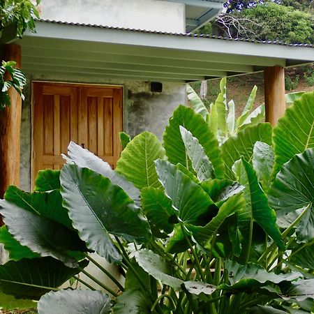Casa Salvaje Vacation Rentals Bocas del Toro Exterior foto